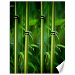 Bamboo Canvas 18  X 24  (unframed) by Siebenhuehner