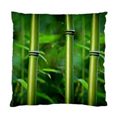 Bamboo Cushion Case (single Sided)  by Siebenhuehner