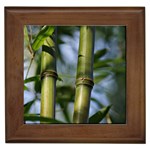 Bamboo Framed Ceramic Tile Front