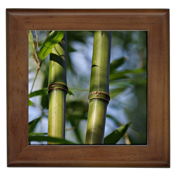 Bamboo Framed Ceramic Tile