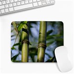 Bamboo Small Mouse Pad (Rectangle) Front