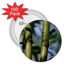 Bamboo 2 25  Button (100 Pack)