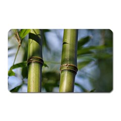 Bamboo Magnet (rectangular)