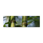 Bamboo Bumper Sticker 10 Pack Front