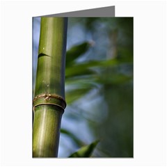 Bamboo Greeting Card (8 Pack) by Siebenhuehner