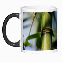 Bamboo Morph Mug