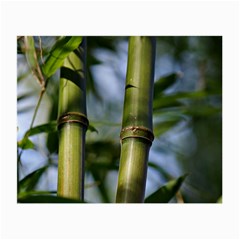 Bamboo Glasses Cloth (small)