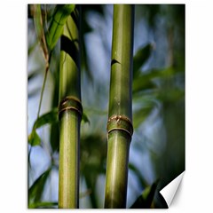 Bamboo Canvas 12  X 16  (unframed)