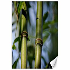 Bamboo Canvas 12  X 18  (unframed) by Siebenhuehner