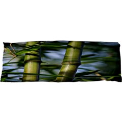 Bamboo Samsung S3350 Hardshell Case