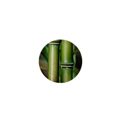 Bamboo 1  Mini Button Magnet by Siebenhuehner