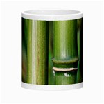 Bamboo Morph Mug Center