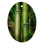 Bamboo Oval Ornament (Two Sides) Front