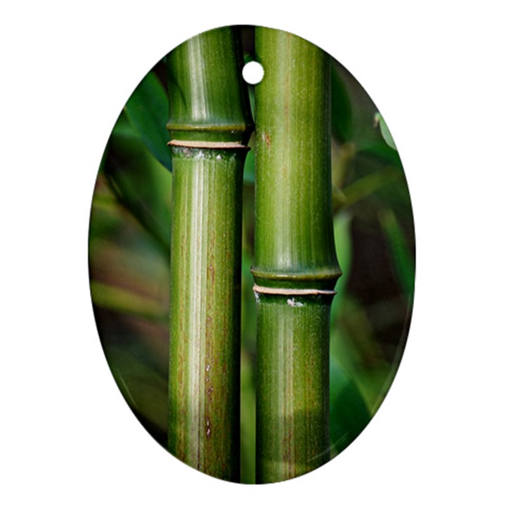 Bamboo Oval Ornament (Two Sides)