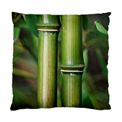 Bamboo Cushion Case (single Sided) 