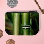 Bamboo Coin Change Purse Back