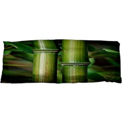 Bamboo Samsung Galaxy Sl I9003 Hardshell Case