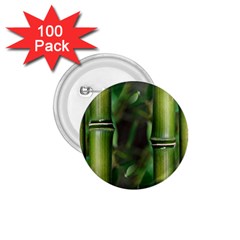 Bamboo 1 75  Button (100 Pack) by Siebenhuehner