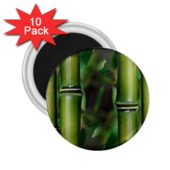 Bamboo 2 25  Button Magnet (10 Pack) by Siebenhuehner