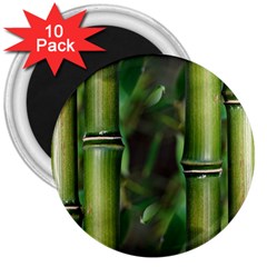 Bamboo 3  Button Magnet (10 Pack) by Siebenhuehner