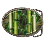 Bamboo Belt Buckle (Oval) Front