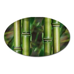 Bamboo Magnet (oval) by Siebenhuehner