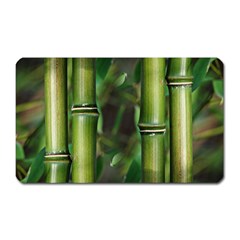 Bamboo Magnet (rectangular) by Siebenhuehner