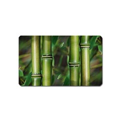 Bamboo Magnet (name Card)