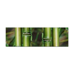 Bamboo Bumper Sticker 10 Pack by Siebenhuehner