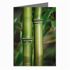 Bamboo Greeting Card (8 Pack) by Siebenhuehner