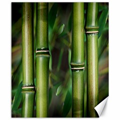 Bamboo Canvas 8  X 10  (unframed) by Siebenhuehner