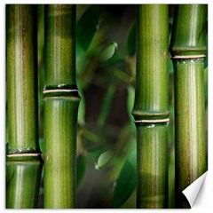 Bamboo Canvas 20  X 20  (unframed) by Siebenhuehner