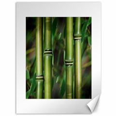 Bamboo Canvas 36  X 48  (unframed) by Siebenhuehner