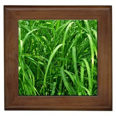 Grass Framed Ceramic Tile