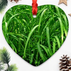 Grass Heart Ornament by Siebenhuehner