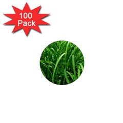 Grass 1  Mini Button Magnet (100 Pack) by Siebenhuehner