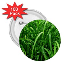 Grass 2 25  Button (100 Pack) by Siebenhuehner