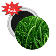 Grass 2 25  Button Magnet (100 Pack) by Siebenhuehner