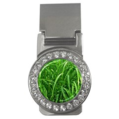 Grass Money Clip (cz) by Siebenhuehner