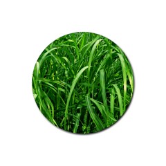 Grass Drink Coaster (round) by Siebenhuehner