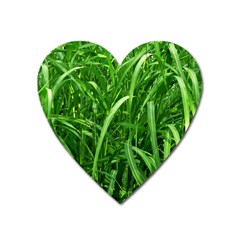 Grass Magnet (heart) by Siebenhuehner