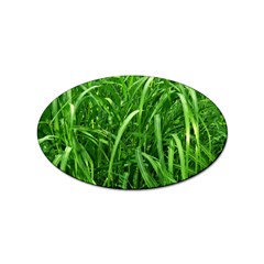 Grass Sticker 100 Pack (oval) by Siebenhuehner