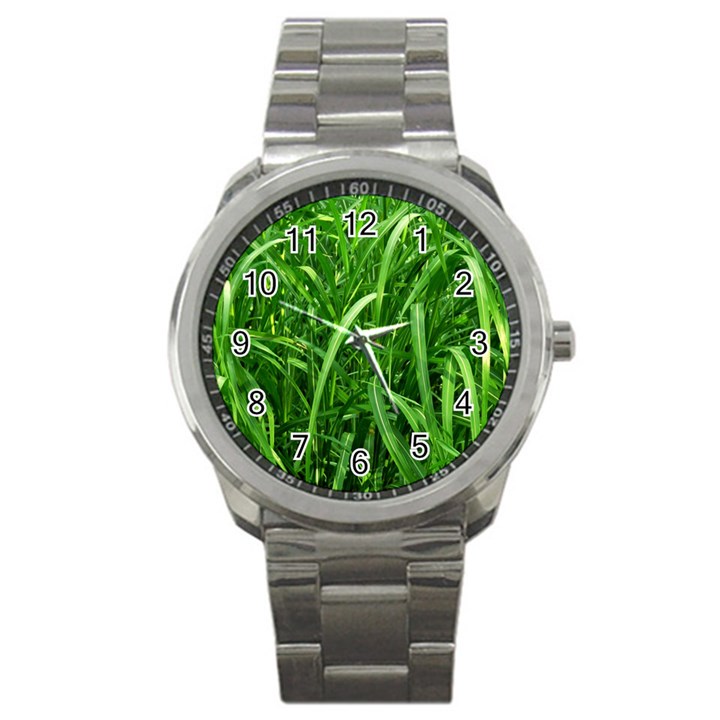 Grass Sport Metal Watch