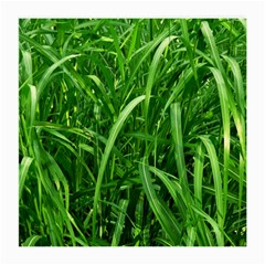 Grass Glasses Cloth (medium, Two Sided)