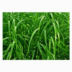 Grass Glasses Cloth (large, Two Sided)