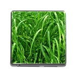 Grass Memory Card Reader with Storage (Square) Front