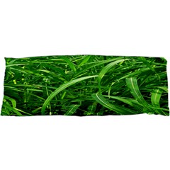 Grass Samsung Galaxy Sl I9003 Hardshell Case