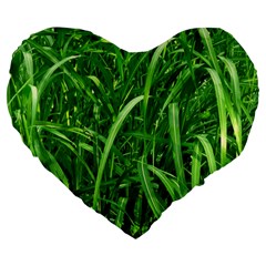 Grass 19  Premium Heart Shape Cushion