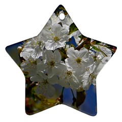 Cherry Blossom Star Ornament