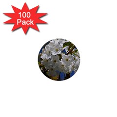 Cherry Blossom 1  Mini Button (100 Pack) by Siebenhuehner